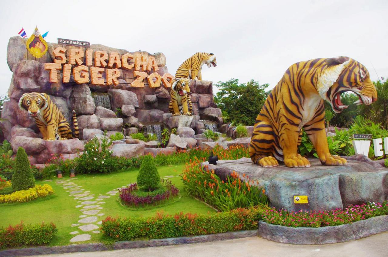 Hành trình tìm hiểu và khám phá công viên Sriracha Tiger Zoo - ảnh 1