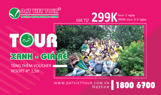 Tour từ 299k tặng voucher hấp dẫn chỉ có ở Đất Việt Tour - ảnh 1