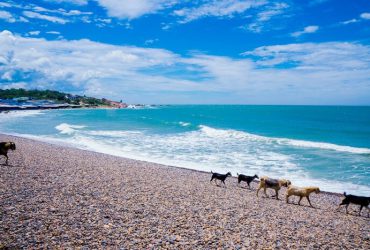 Bãi biển Cổ Thạch