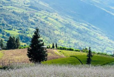 Cao nguyên Suôi Thầu