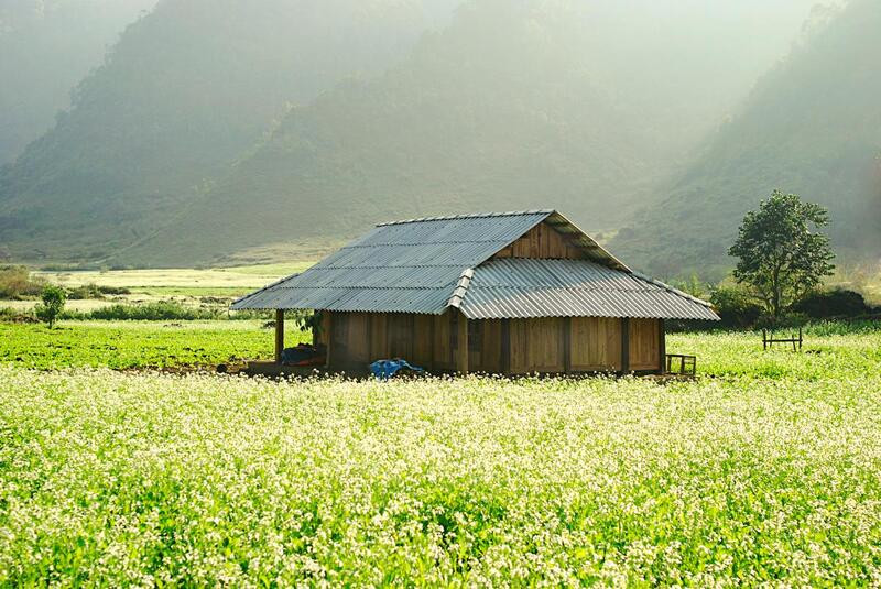 Du lịch Mộc Châu mùa thu