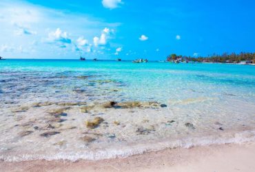 Vẻ đẹp mộc mạc của hòn Mấu