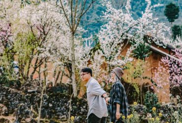 Hà Giang mùa xuân - Thời điểm đẹp để du xuân